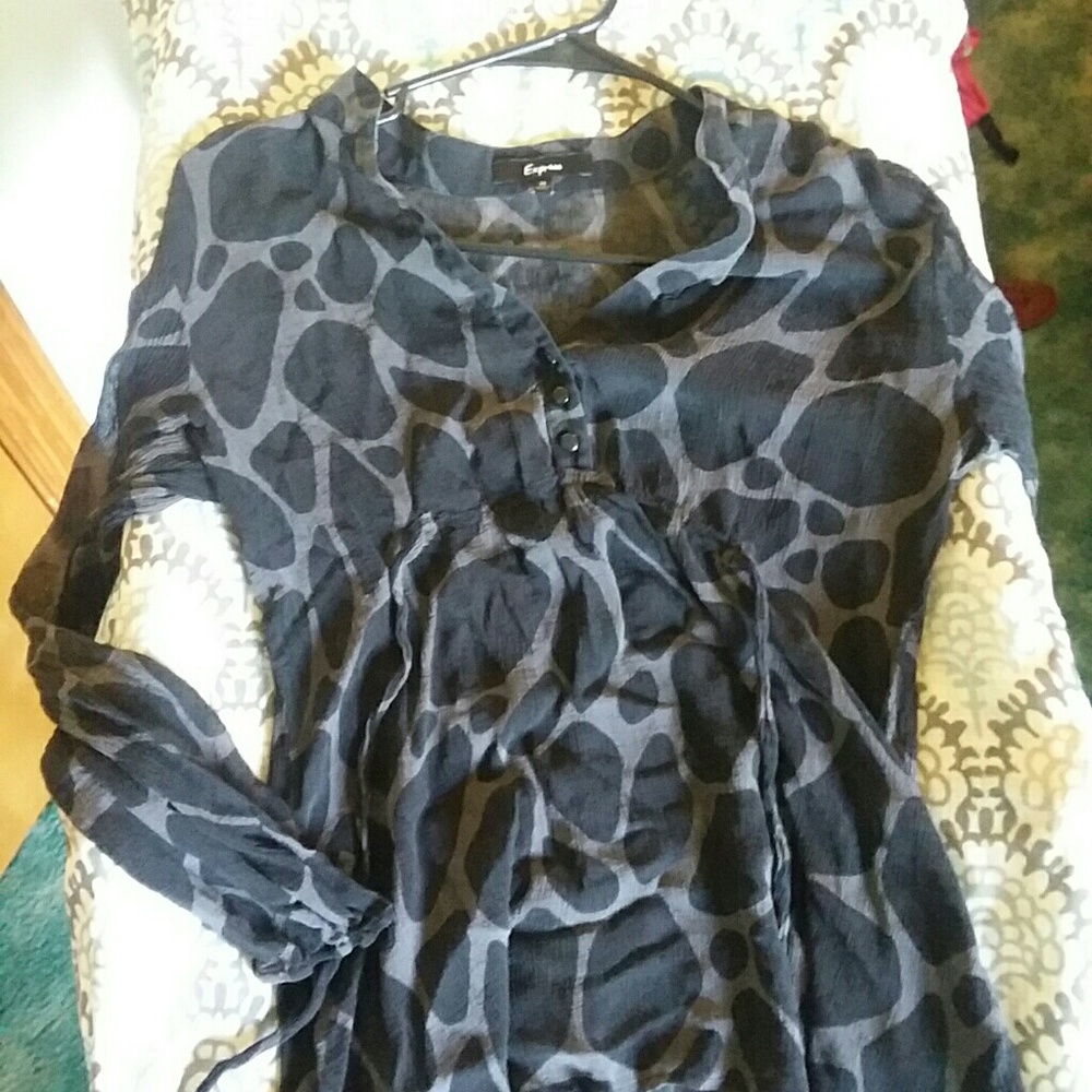 Sheer Blouse